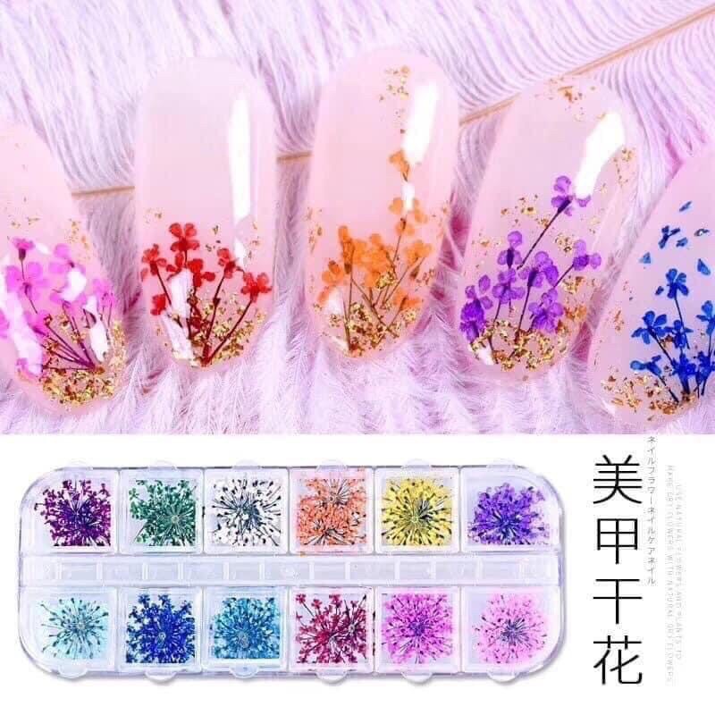 Hoa khô trang trí móng tay - Set 12 màu hoa chùm đắp gel ẩn phong cách Hàn Nhật