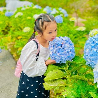 nguyenhuynh1202
