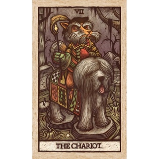 Bộ Bài Labyrinth Tarot (Mystic House Tarot Shop) - Bài Gốc Authentic Chính Hãng 100%