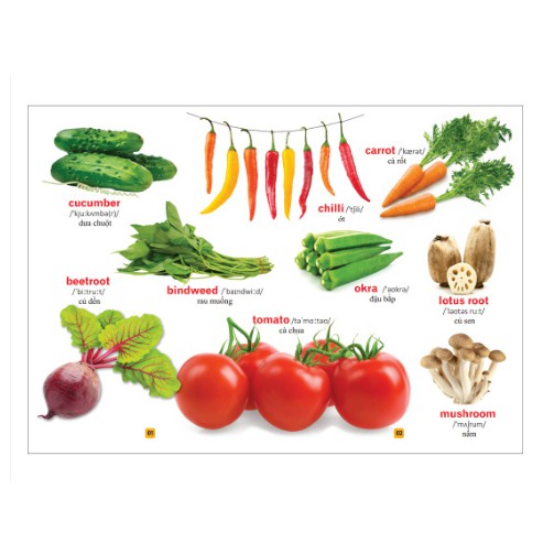 Ảnh Sách -Combo Từ điển bằng tranh 2