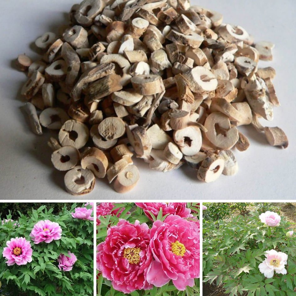 [Mã BMTTC60K giảm đến 60K đơn 50K] Mẫu đơn bì khô thượng hạng JINDO 1kg