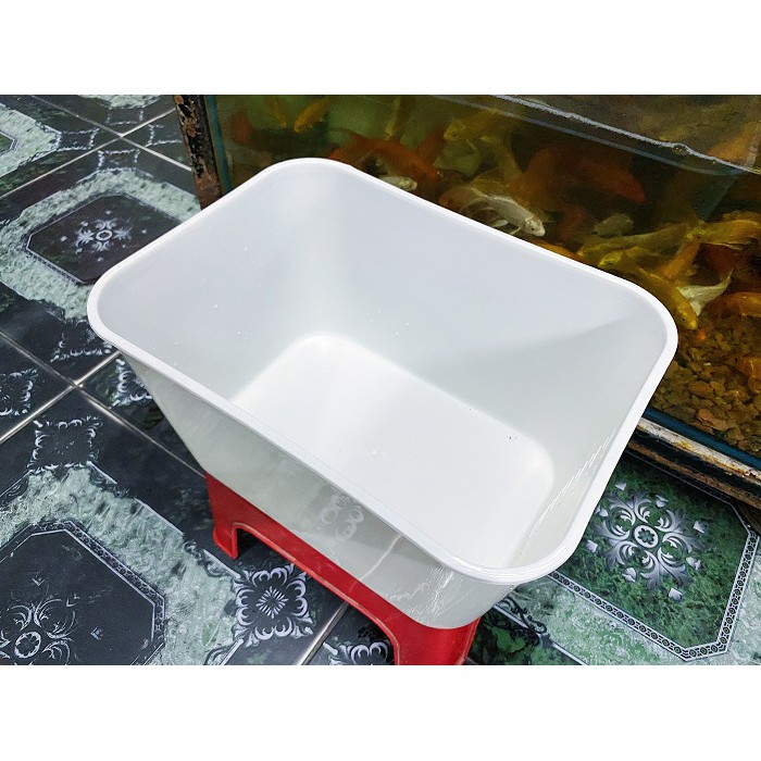 THÙNG NHỰA 7 LÍT NUÔI CÁ BẢY MÀU BETTA 30X22X16CM