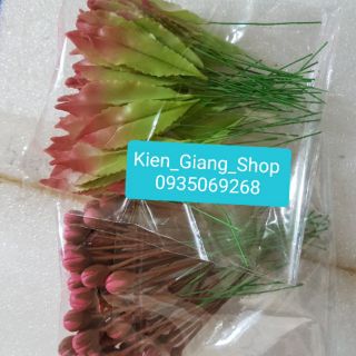Combo lá mai, lá đào, nụ mai nụ đào