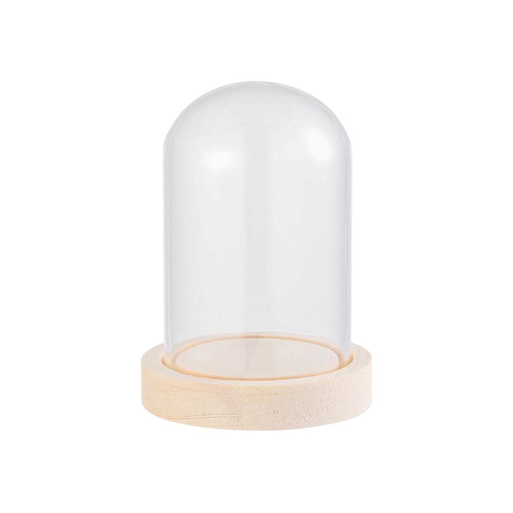 BAMBOOB Kính cloche Cây Trang Trí Nhà Terrarium Trong Suốt Bình Thủy Tinh Hoa Hộp Bảo Quản