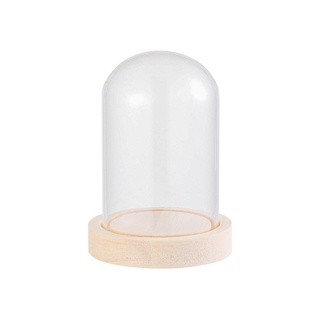 OAKANDME Kính cloche Cây Trang Trí Nhà Terrarium Trong Suốt Bình Thủy Tinh Hoa Hộp Bảo Quản