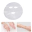 FAVORITEGOODS Face-Pack Skin Care Cleaner Facial Sticker