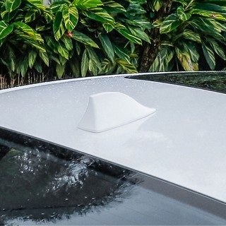 Vây Cá Ô Tô Ăng Ten – Ăng Ten Vây Cá Gắn Ô TÔ, Trang Trí Xe Hơi