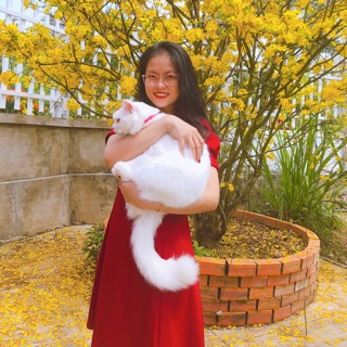 doanhaibangkhoa