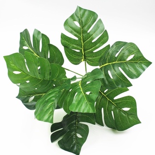 Cây Lá Rùa / Lá trầu bà rách / Monstera Trang Trí 30cm 55cm 76cm - Cây giả decor