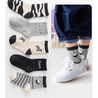 [V04 set 5 đôi] Tất bé trai thu đông dày dặn,vớ cho bé trai cotton mềm mại Maruka Fashion