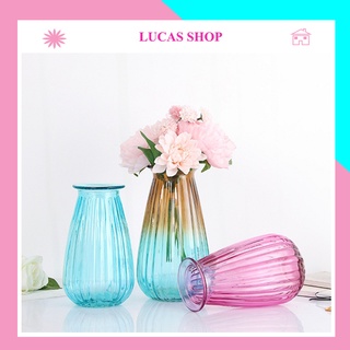 Bình thủy tinh - Bình cắm hoa B002 trang trí 20cm đẹp, sang trọng, tiện dụng