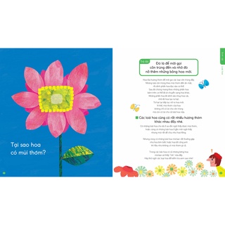 Sách Cuốn sách đầu tiên về những điều kỳ lạ - Những Câu Hỏi Vì Sao ? -  Quảng Văn Books