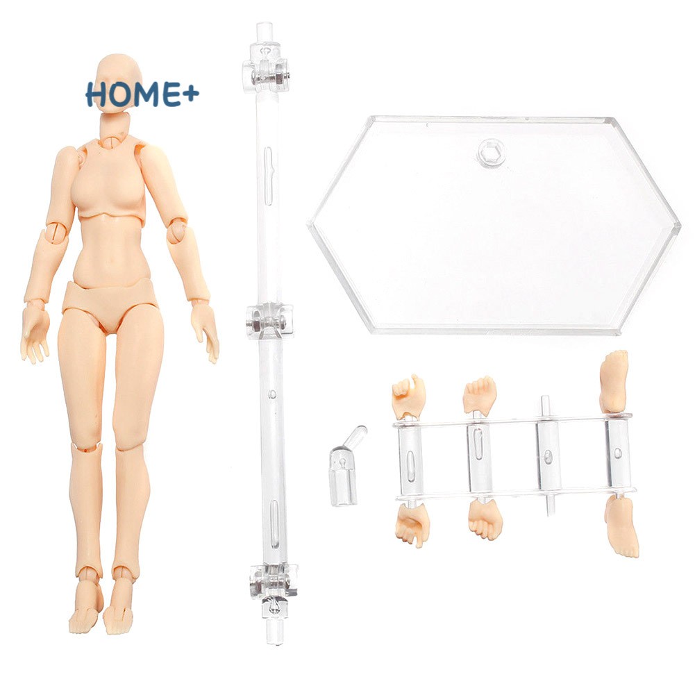 Mô hình cơ thể người phiên bản 2.0 có khớp cử động điều chỉnh linh hoạt 13 cm/13.5 cm chất lượng