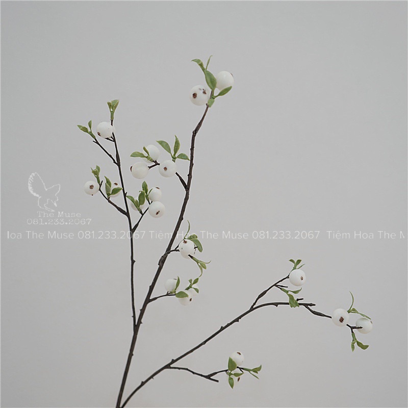 Cành Quả Táo Rừng - Mô Phỏng Mận Rừng - Decor Phong Cách Wabi Sabi ...