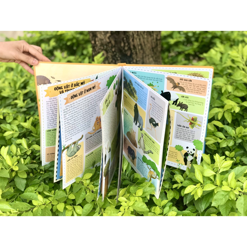 Ảnh SÁCH - Atlas động vật - đinh tị 1
