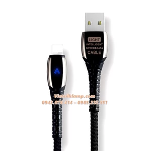 CÁP LIGHTNINH TỰ NGẮT 8IC