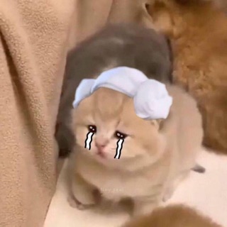 naachymte