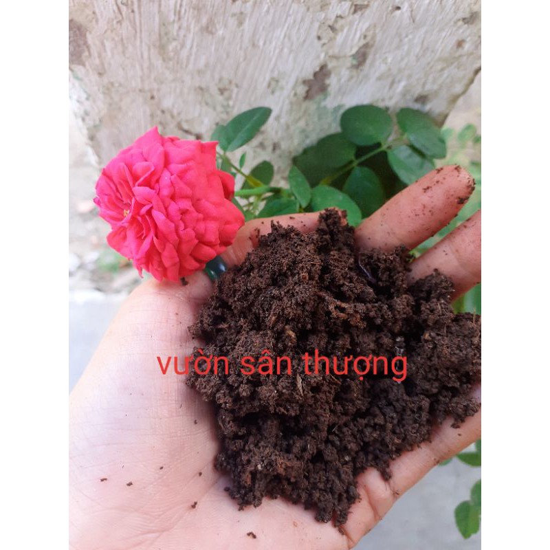 10kg Phân Tr.ùn Ngu.yên Ch.ất Nhà N.uôi, Đủ Tháng Xuất, Duy Trì Độ Ẩm Giúp Trứ.ng Tr.ùn Còn