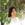 hiennguyenthanh_205
