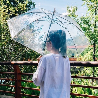 Ô to trong suốt