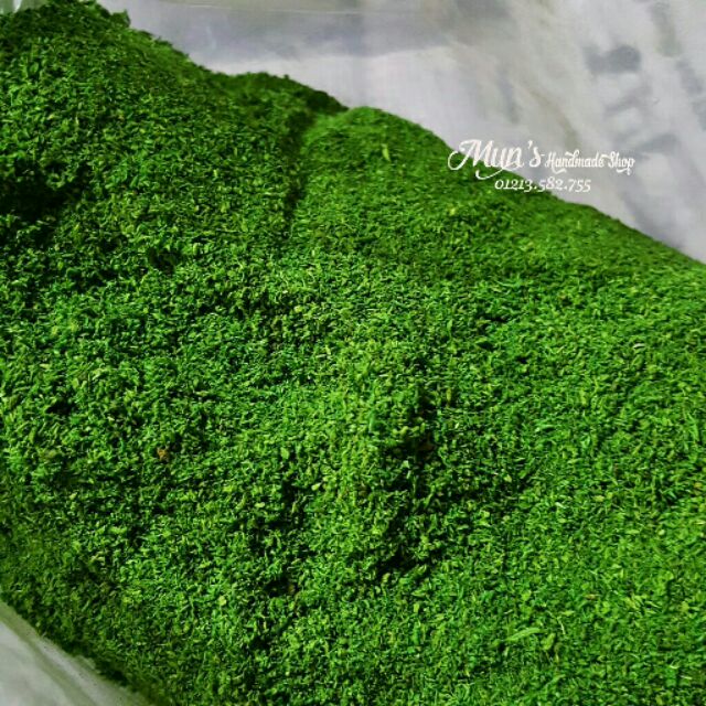 Cỏ bột rêu/Cỏ sợi (xanh) trang trí mô hình, phủ chậu cây | Shopee Việt Nam