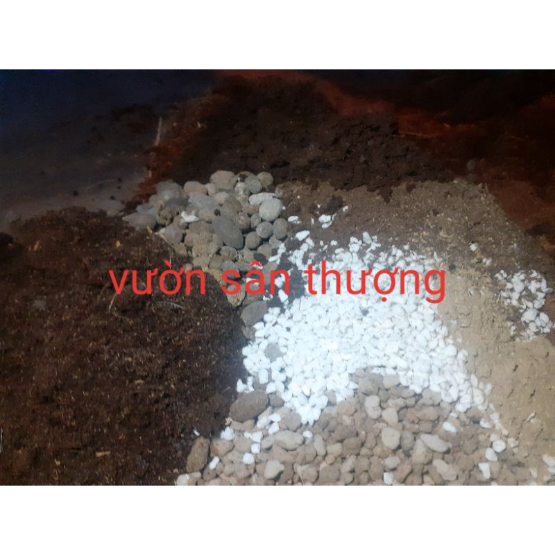 1L Giá Thể Trồng Cây Kiểng Lá Trong Nhà Cao Cấp, Thoát Nước Tốt, Không Cần Trộn