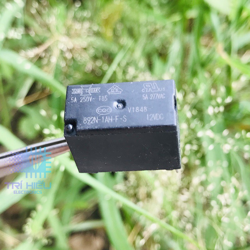 Relay 5pcs/lot 100% original new relay 89 4H 2AH2 F C 12V 894H 2AH1 F C 12VDC 894H 2AH2 F C 12VDC 894H 2AH1 F C 12VDC 6Pins 12A (Color : 5pcs 894h  2ah2 f c