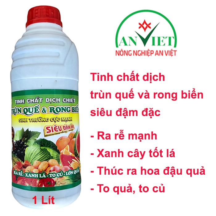 Dịch trùn quế rong biển 1 Lít, giúp cây ra rễ mạnh, xanh cây tốt lá, to ...