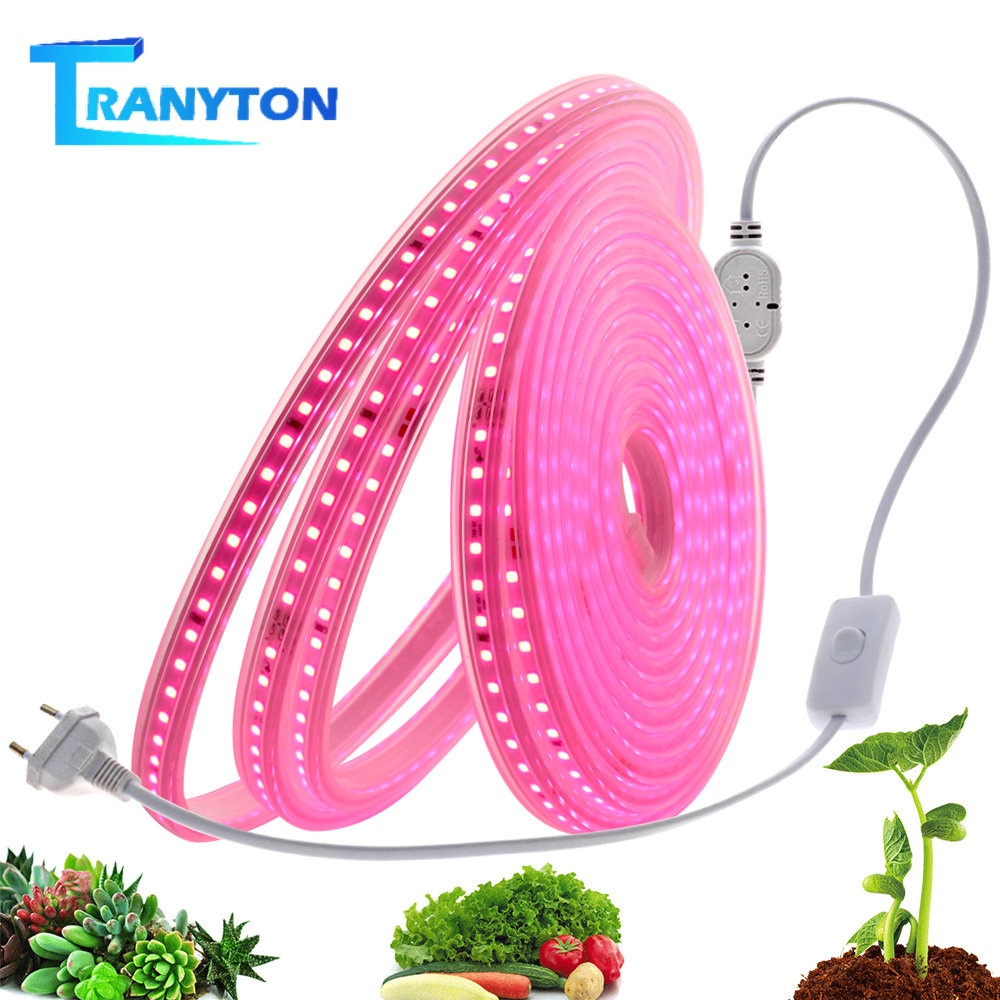 Thanh Đèn LED Trồng Cây 1M Đến 8M AC220V Chống Thấm Nước Chuyên Dụng ...