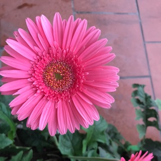 phamyen20111991