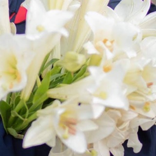 hime110