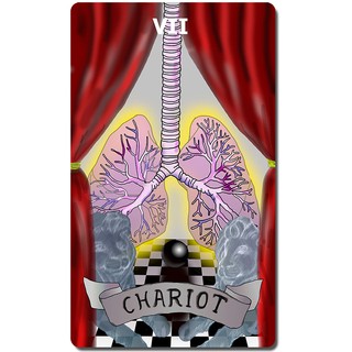 Bộ Bài Corona Tarot (Mystic House Tarot Shop) - Bài Gốc Authentic Chính Hãng 100%