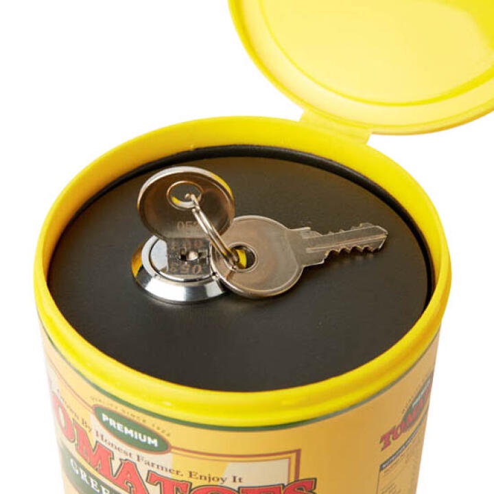 Ảnh Két Sắt ARTBOX Hàn Quốc Hình Hộp Cà Chua Độc Đáo 1