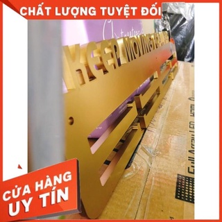 Giá treo huy chương điền kinh nữ, 58x18cm