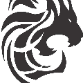 tamnguyen237