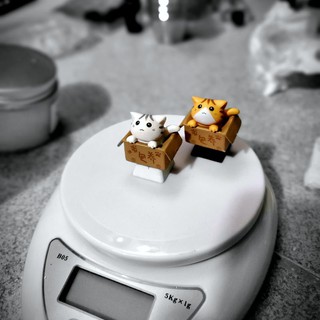 Keycap bé mèo trong thùng carton, nút bấm bàn phím cơ hình mèo