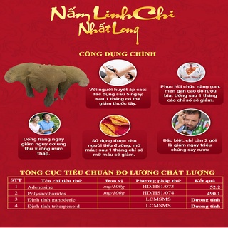 Nấm Linh Chi đỏ Nhất Long chính hãng-Túi Thái Lát 250gram Linh Chi Đỏ Chính Hãng Giải Độc Gan, Chống Lão Hóa