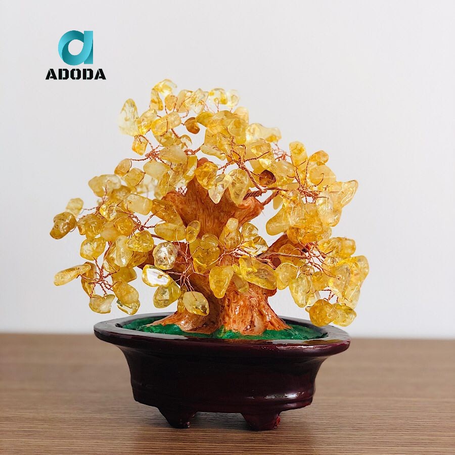 Cây Bonsai Hợp Mệnh Thổ: Lựa Chọn Hoàn Hảo Mang Tài Lộc và May Mắn