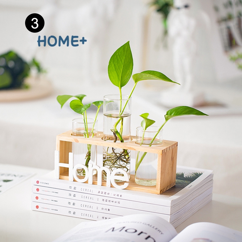 Đế gỗ cho lọ hoa thủy canh trang trí xinh xắn