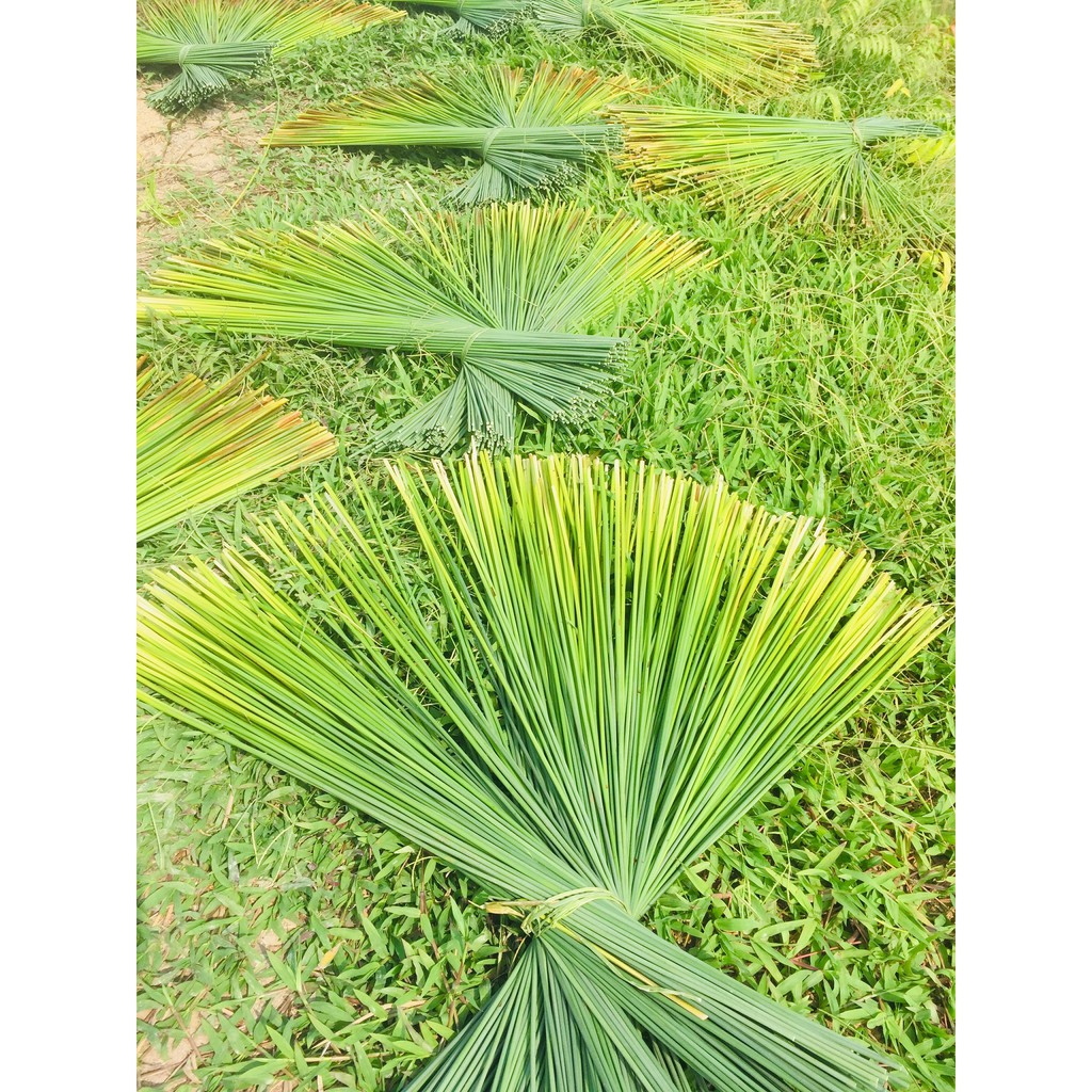 Ống hút cỏ/ tre Natural Love  xuất khẩu 10 nước không hạt vi nhựa, không chất BQ, không keo, bảo vệ MT và Sức khỏe