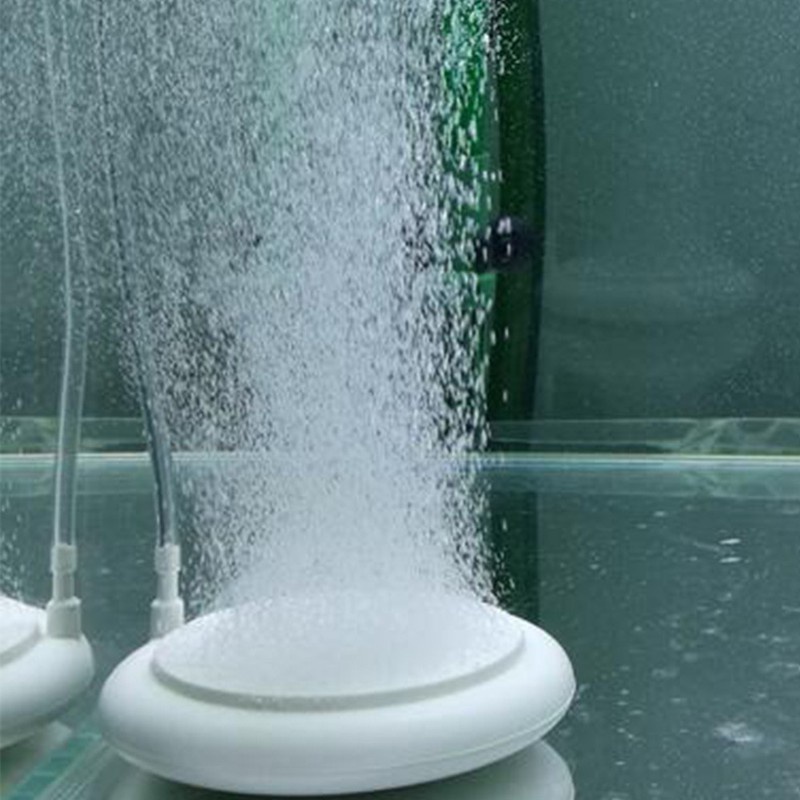 SỦI DĨA OXY NANO SIÊU MỊN JENECA