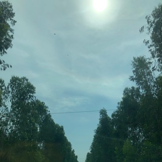 nguyenphattuongduy