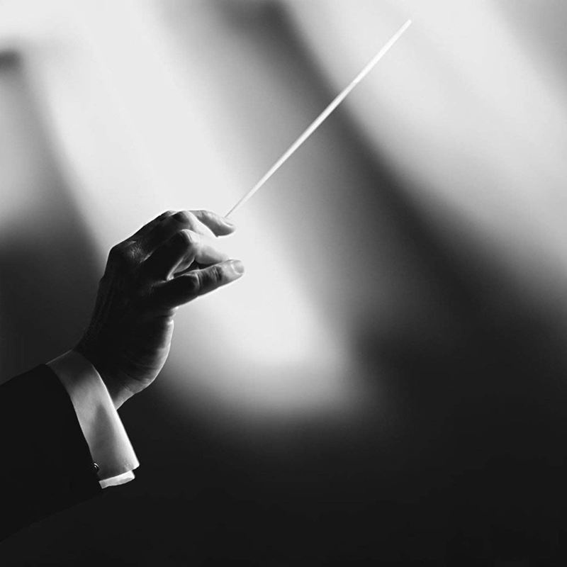 💖Gậy Baton Chỉ Huy Dàn Nhạc Màu Đen
