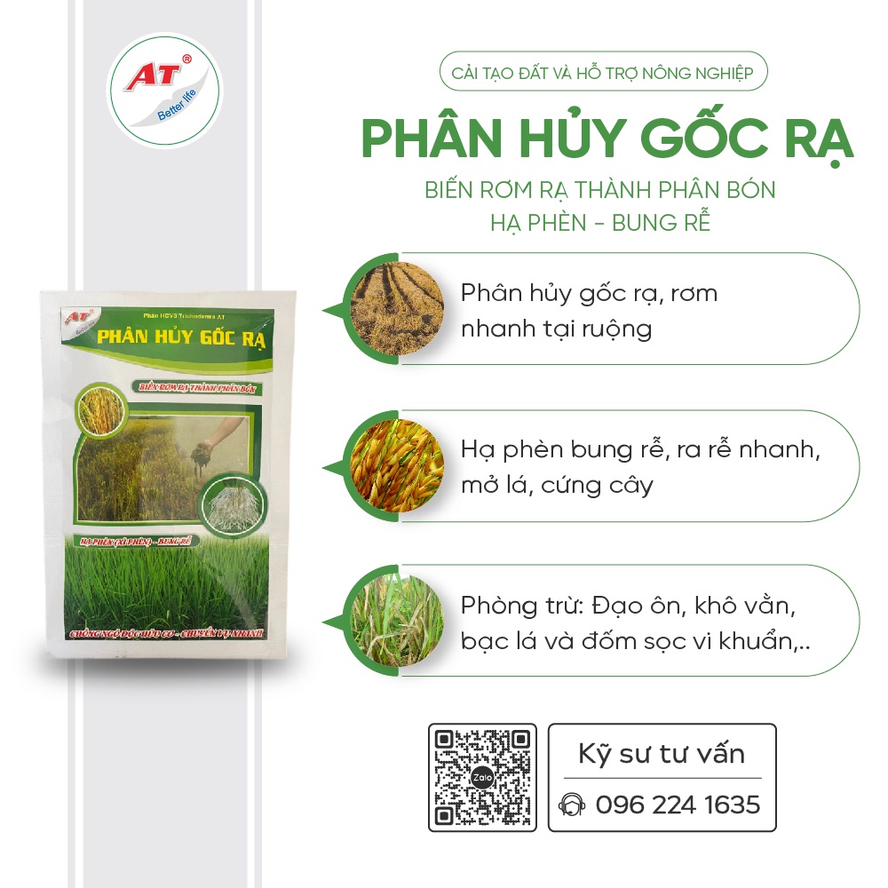 Trichoderma xử lý nhanh rơm rạ tại ruộng, ủ rơm rạ, ủ phân chống ngộ ...