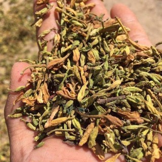 Hũ 300gr Hoa Đu Đủ Đực Phơi Khô Sạch