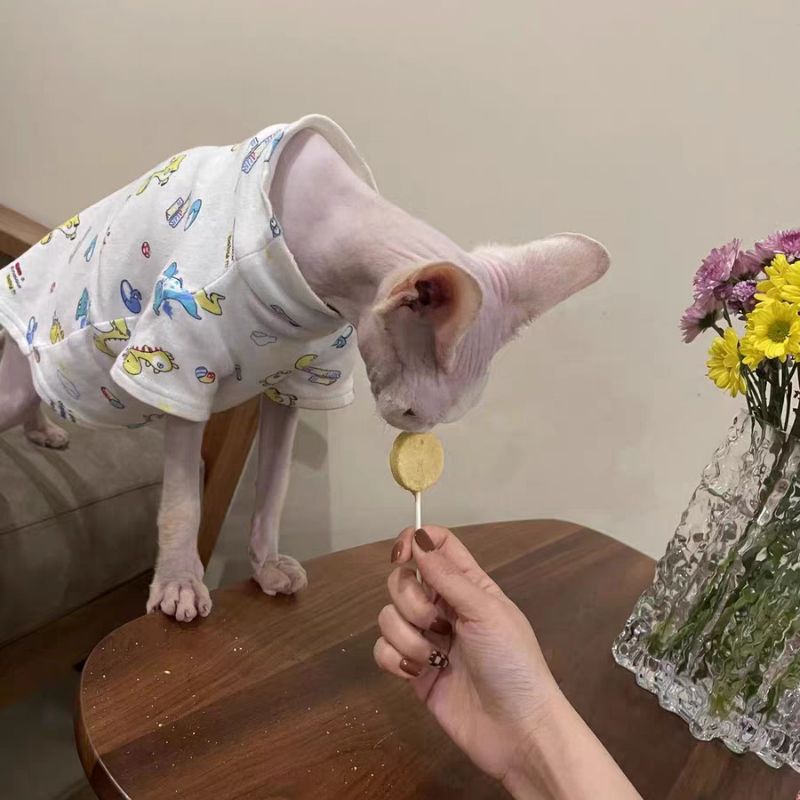 Bánh Thưởng Que Sấy Lollipop Cho Cún Mèo - 1,4 Gram