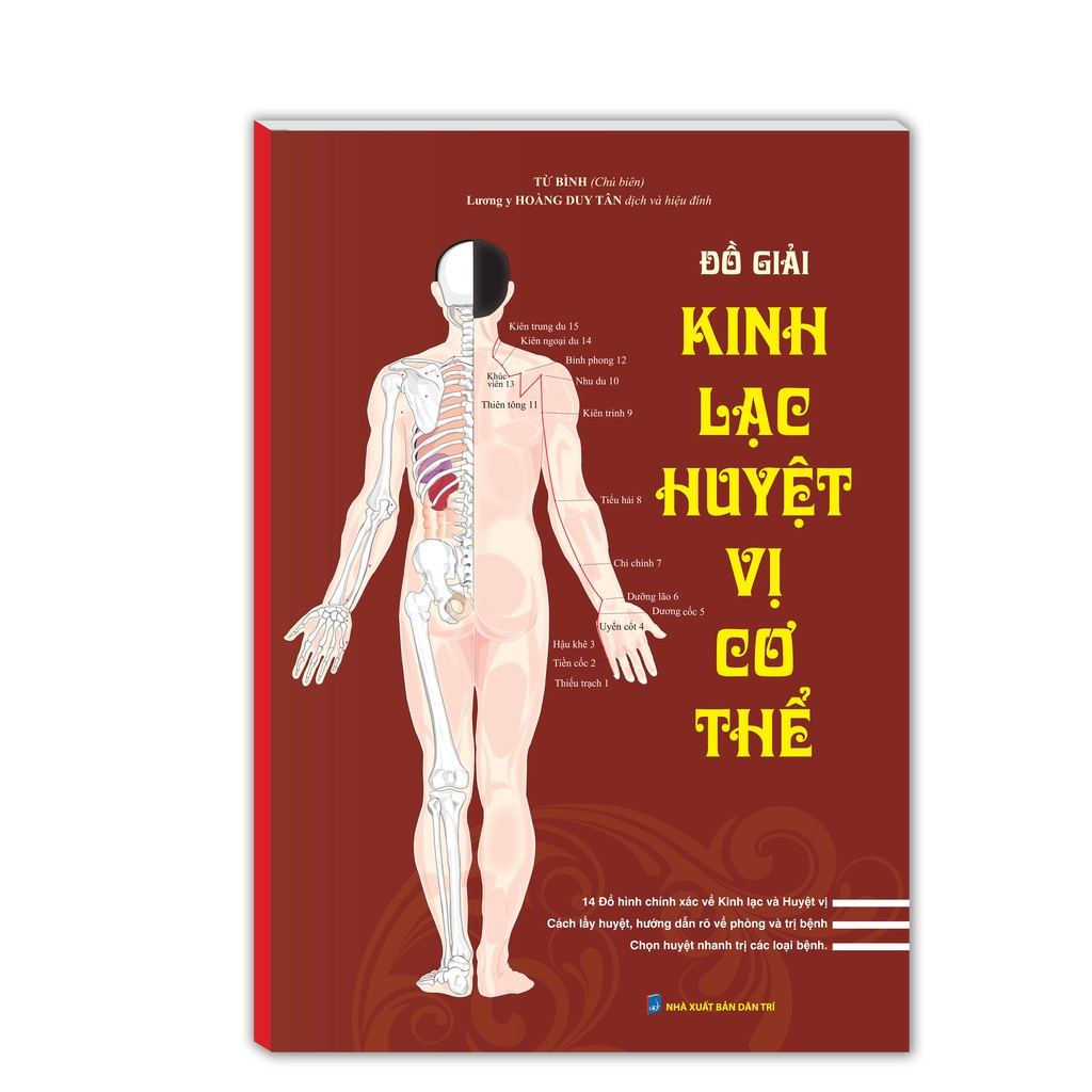 Sách - Đồ giải kinh lạc huyệt vị cơ thể (bìa mềm) Tặng Kèm Bookmark