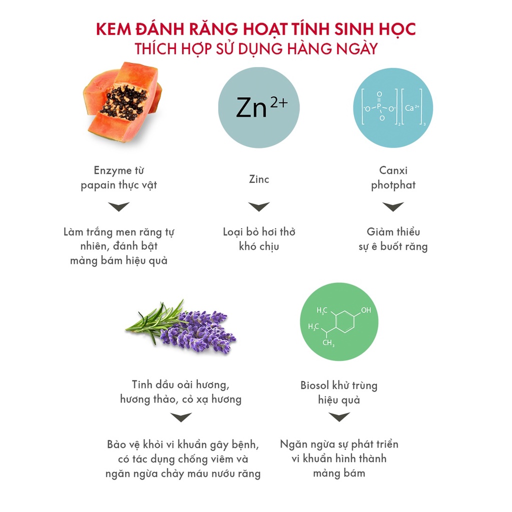Mô tả Kem Đánh Răng SPLAT Lavendersept Professional series Nhẹ Nhàng Làm Trắng Và Giảm Ê Buốt Răng Hiệu Quả Dung Tích 20ml - 2