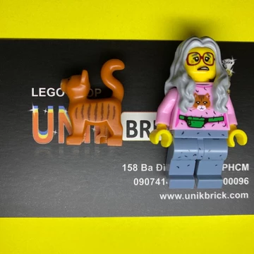 Lego UNIK BRICK Mrs Scratchen Post trong The LEGO Movie - Bộ phim về LEGO chính hãng (như hình)