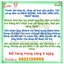 Xương Rồng Biết Nói Nhái Giọng Nhảy Múa Hát Nhạc 120 Bài Dùng Sạc Đồ Chơi Cho Bé - BỐ KHỦNG LONG